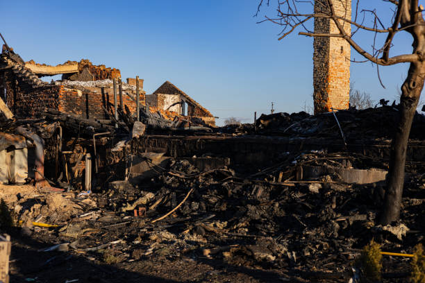 Reliable Board Up Services contractor in Naples, FL by Fire Damage Doption